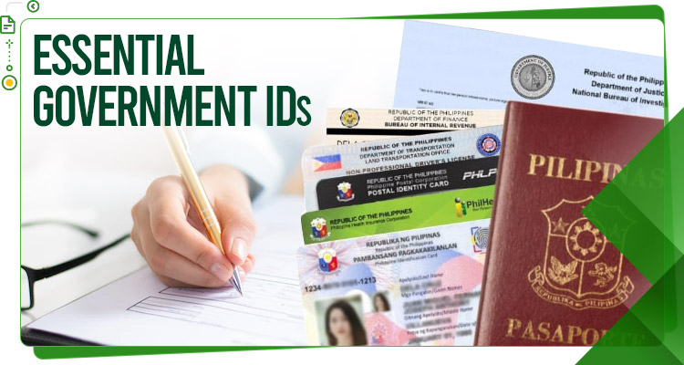 Essential Government IDs for Fresh Graduates in the Philippines